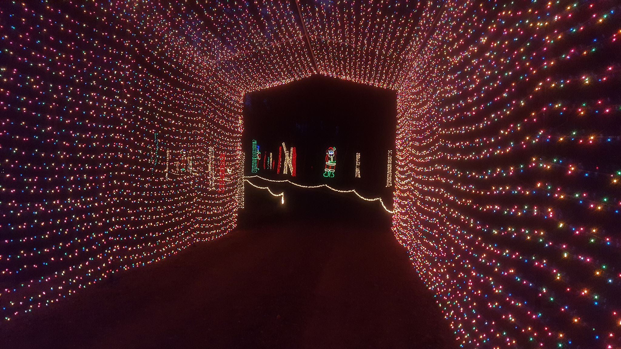 Candy Cane Lane